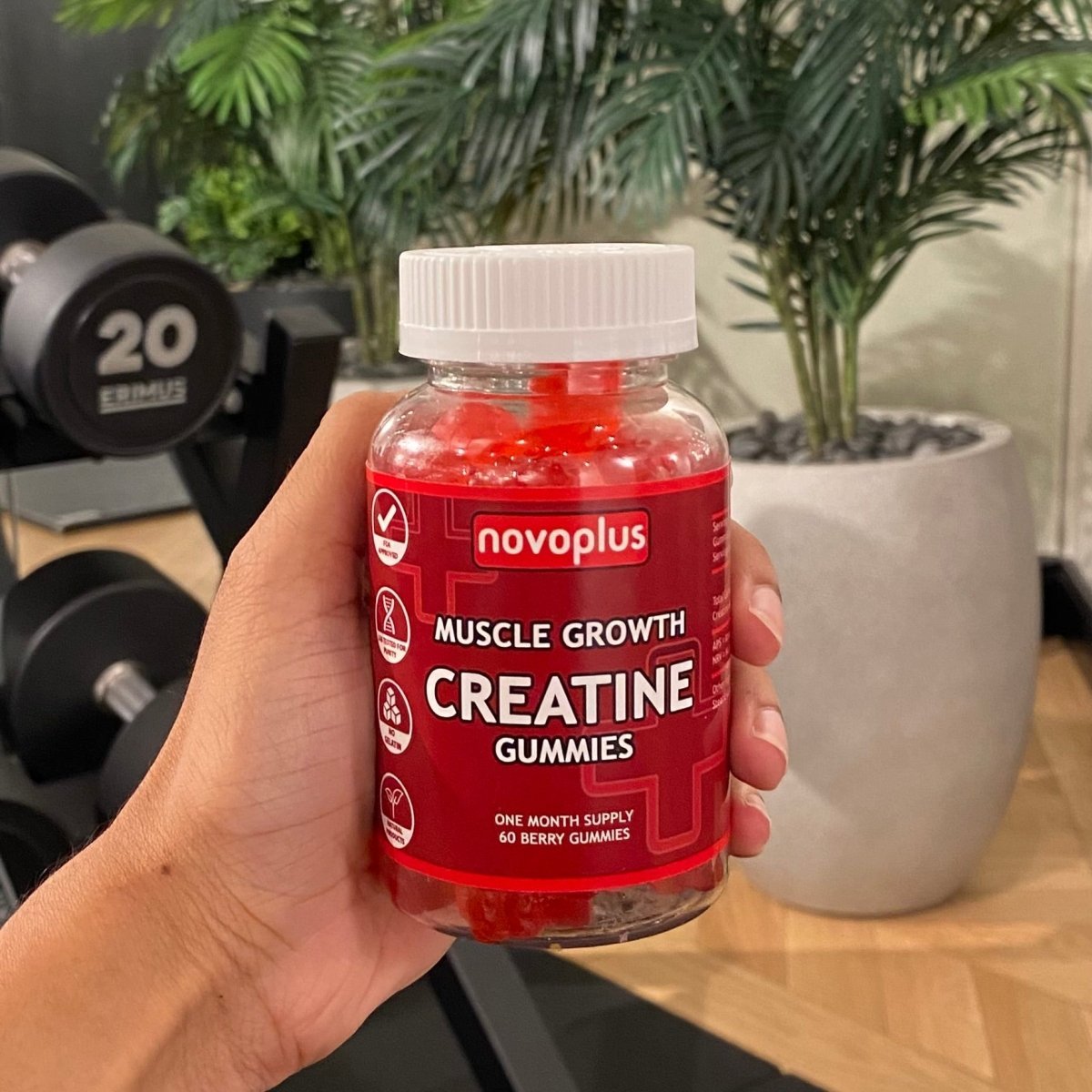 3 Month Bundle Creatine Gummies - Novoplus