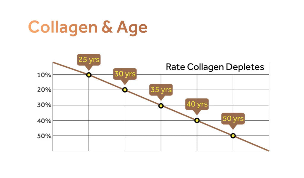 collagen-and-age-depletion-graph.progressive.webp__PID:133b687e-68df-4ccf-b9d2-4223ada1db36